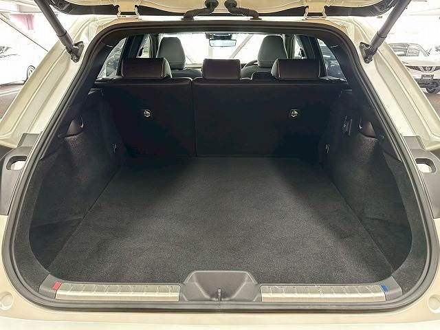 CROWN SPORT