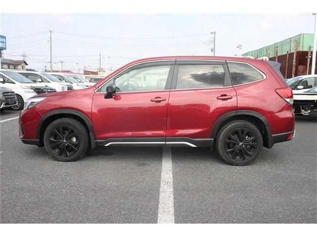 FORESTER