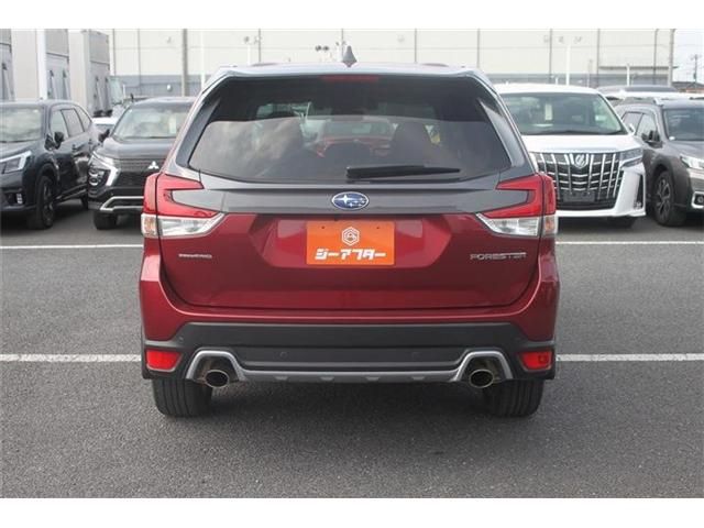 FORESTER