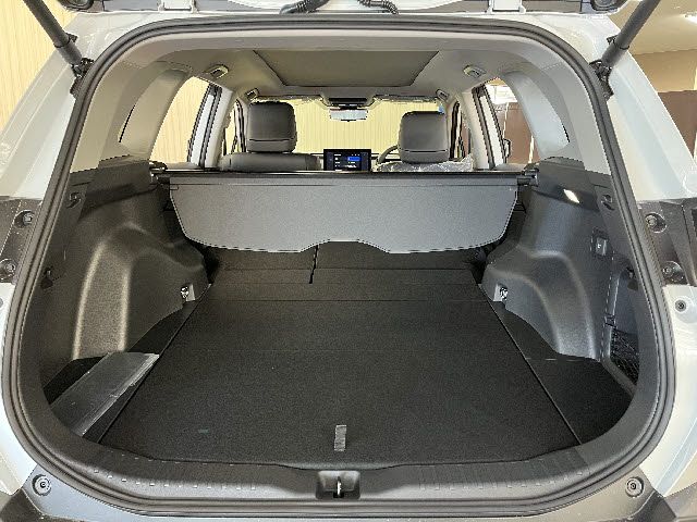 RAV4 HYBRID 4WD