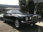 DAIMLER DAIMLER