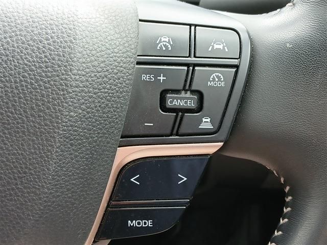 CROWN SPORT
