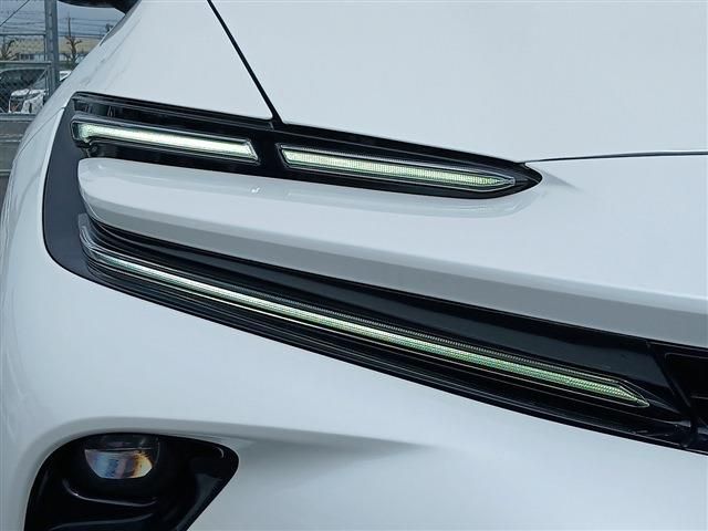 CROWN SPORT