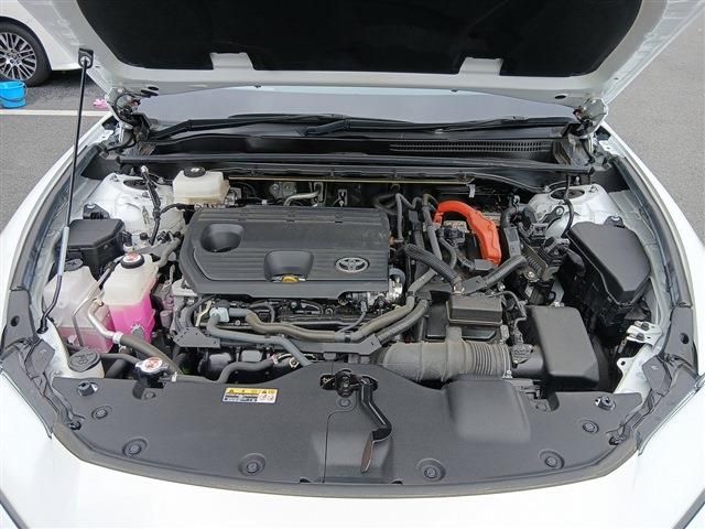 CROWN SPORT