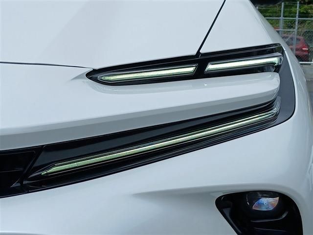 CROWN SPORT