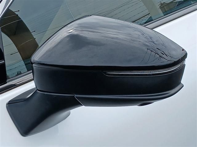 CROWN SPORT