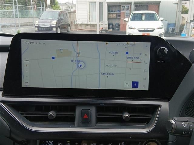 LEXUS UX250h