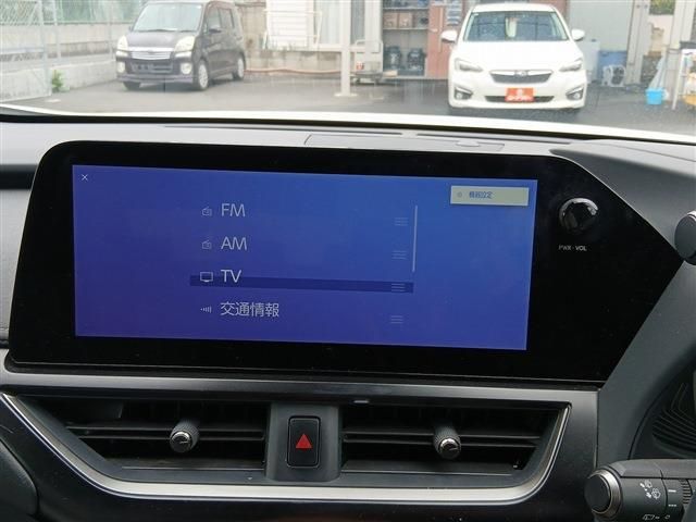 LEXUS UX250h
