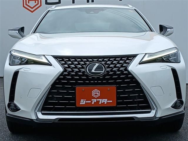 LEXUS UX250h