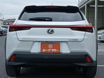 LEXUS UX250h