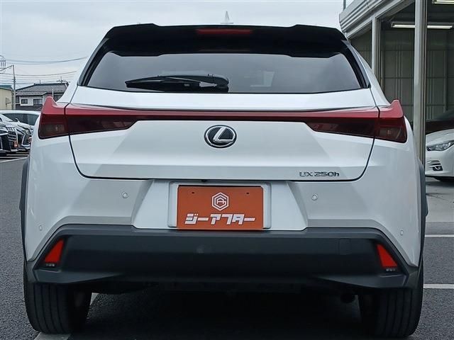 LEXUS UX250h