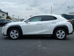 LEXUS UX250h