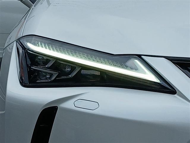 LEXUS UX250h