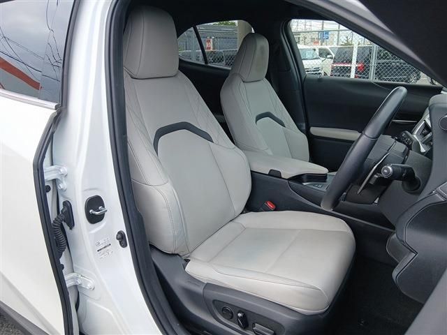 LEXUS UX250h