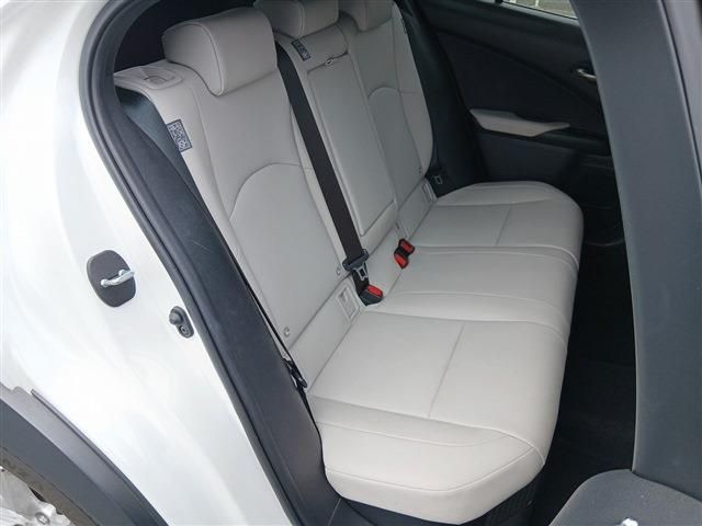 LEXUS UX250h