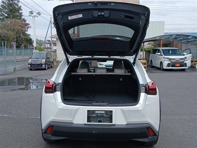 LEXUS UX250h