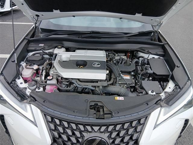 LEXUS UX250h
