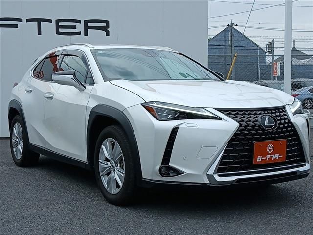 LEXUS UX250h