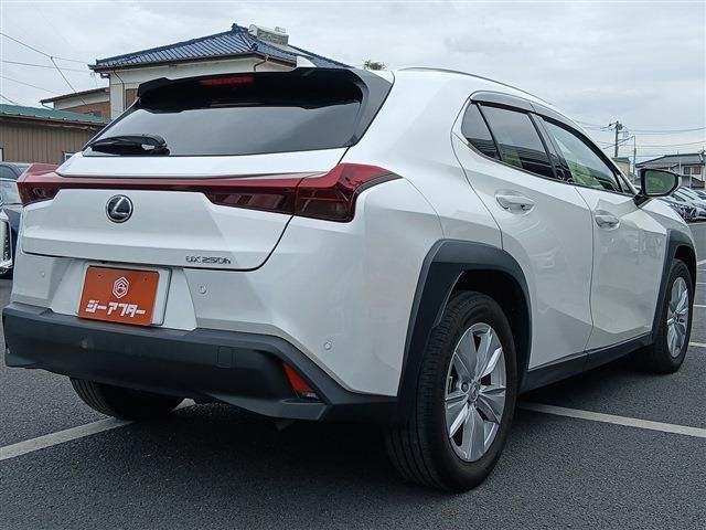 LEXUS UX250h