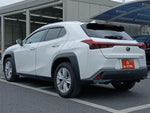 LEXUS UX250h