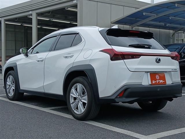 LEXUS UX250h