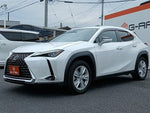 LEXUS UX250h
