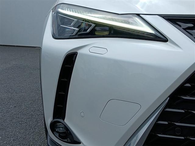 LEXUS UX250h