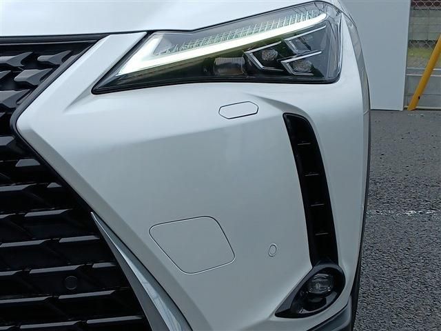 LEXUS UX250h