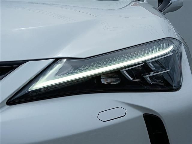 LEXUS UX250h