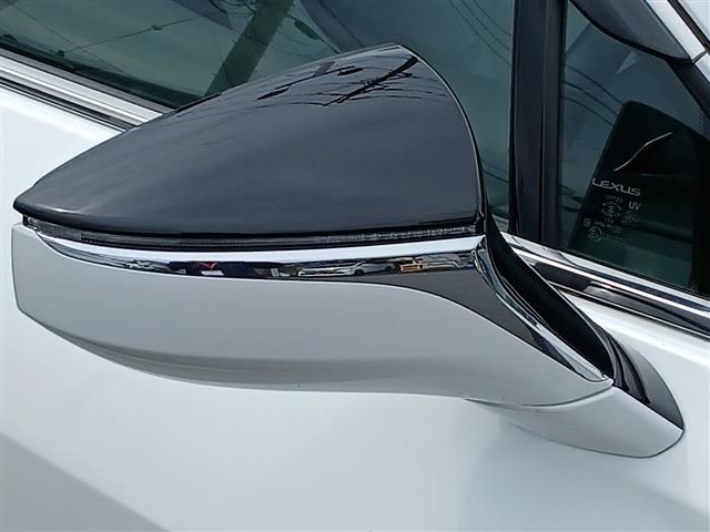 LEXUS UX250h
