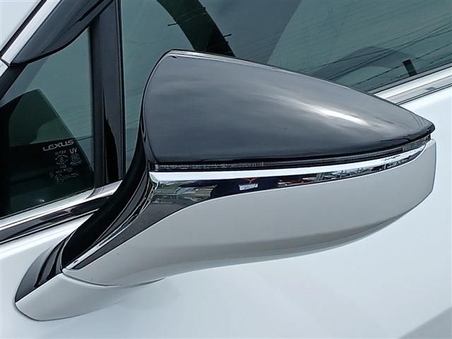 LEXUS UX250h