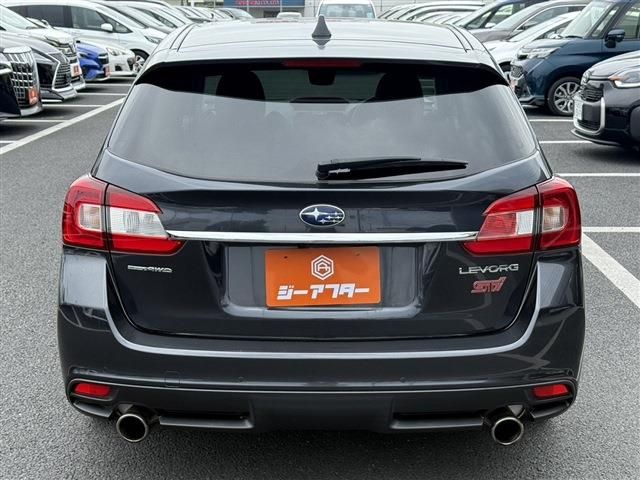 LEVORG
