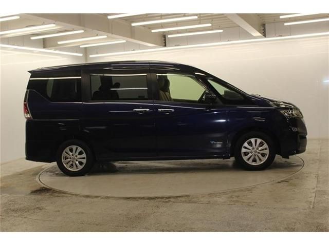 SERENA  S-HYBRID