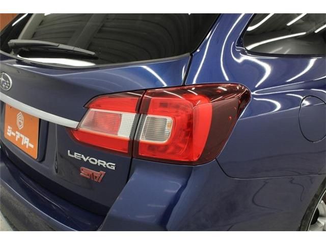 LEVORG