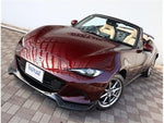 ROADSTER