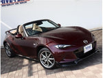 ROADSTER