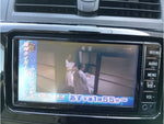 ALION