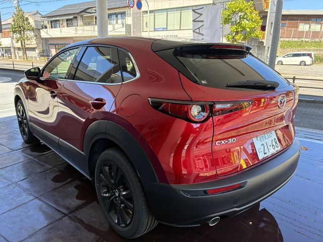 CX-30