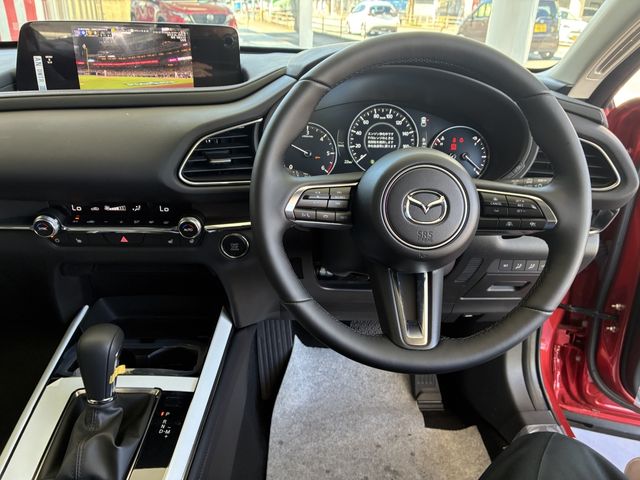 CX-30