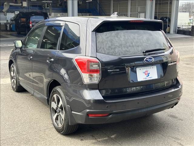 FORESTER