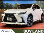 LEXUS NX350h
