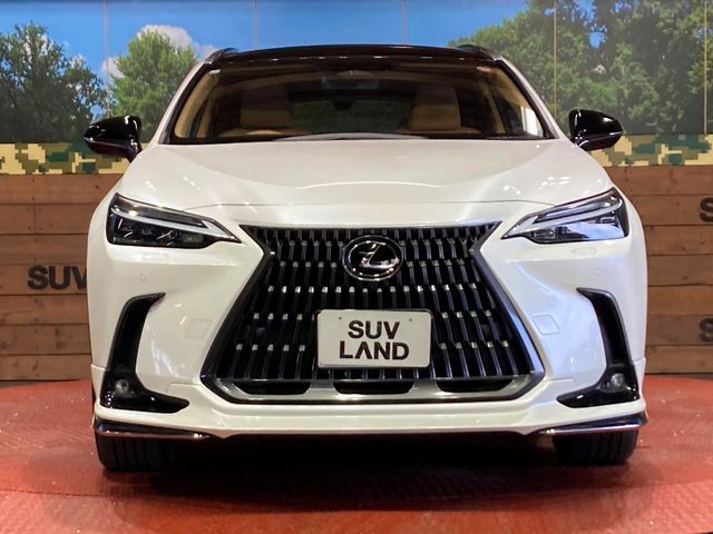 LEXUS NX350h