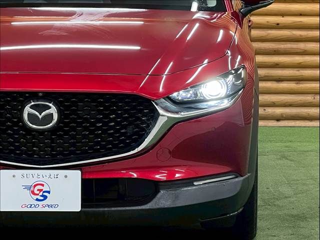CX-30