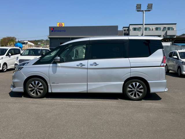 SERENA  S-HYBRID