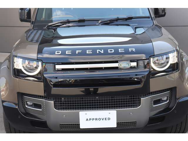 ROVER DEFENDER