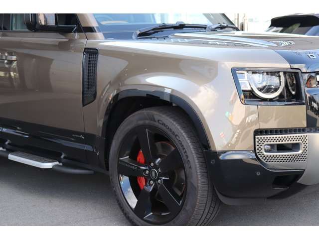 ROVER DEFENDER