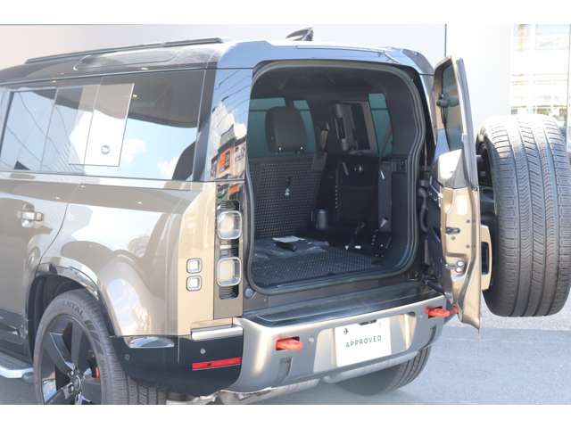 ROVER DEFENDER
