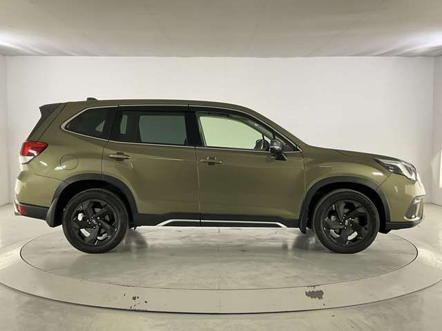 FORESTER