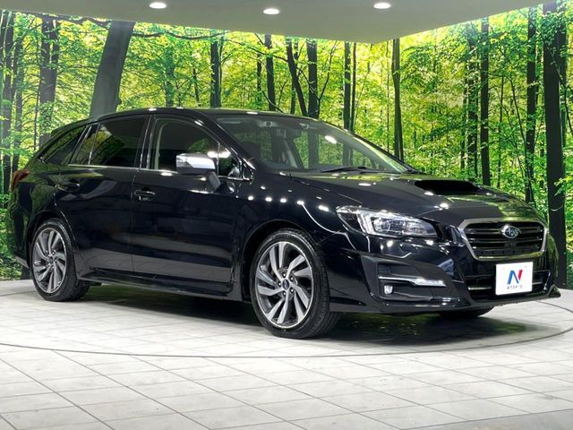 LEVORG