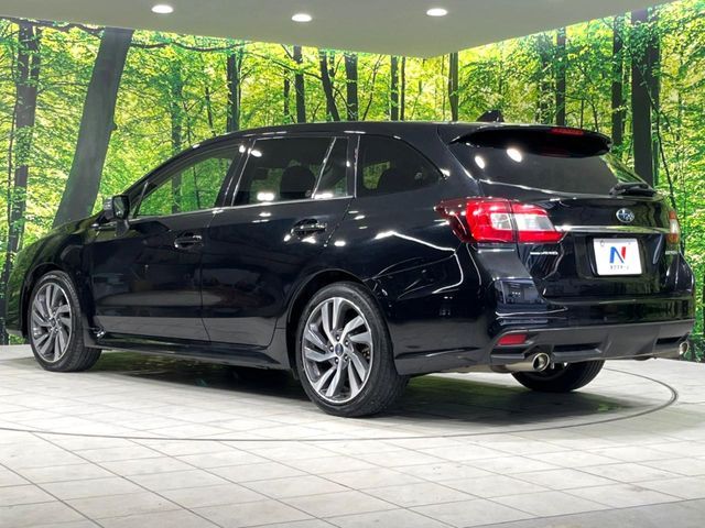 LEVORG